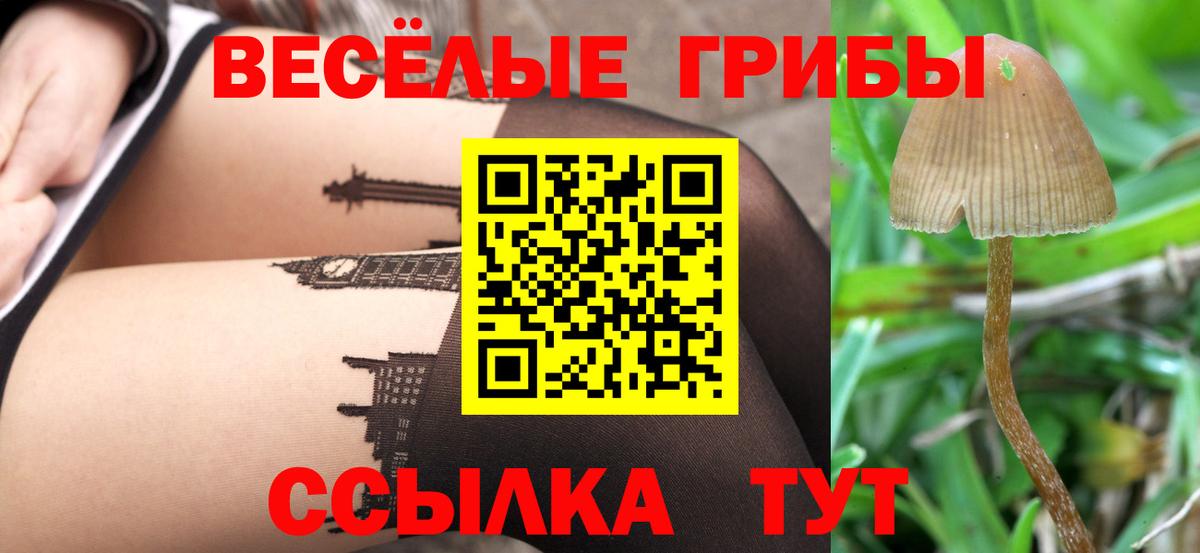 Галлюциногенные грибы Psilocybine cubensis  Вход с VPN  Черняховск 